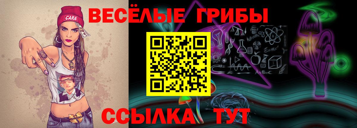 Саратов  Галлюциногенные грибы Psilocybine cubensis  Псилоцибиновые грибы Psilocybe  Вход с VPN 